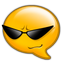 x20 x20