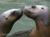 LoveInTheWild_12.jpg