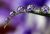 MACROWATER_FOTO_11.jpg