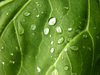 MACROWATER_FOTO_16.jpg