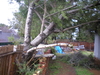 P1201060.JPG
