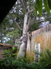 P1201063.JPG