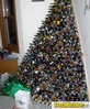 beertree06.jpg