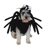 halloweenpetcostumes_03.jpg