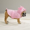 halloweenpetcostumes_14.jpg