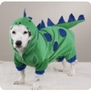 halloweenpetcostumes_21.jpg