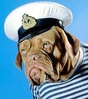 halloweenpetcostumes_31.JPG