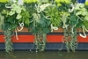 watertradeholland14.jpg