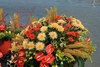 watertradeholland21.jpg